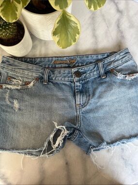 American Eagle Outfitters Light Blue Distressed Jean Shorts
